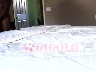 AZGigolo – Nighttime Delights with a Thirsty Hotwife