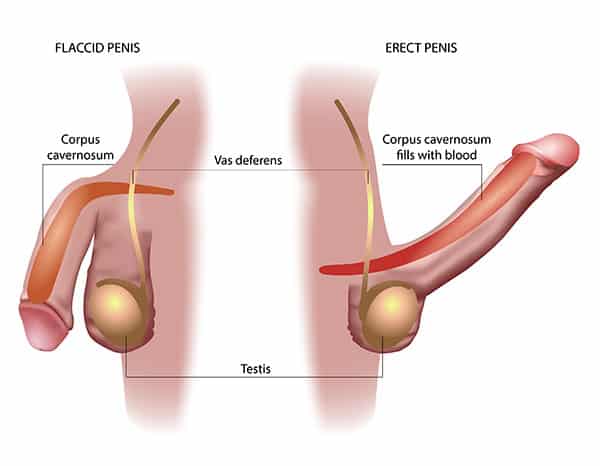 how common is erectile dysfunction, actually